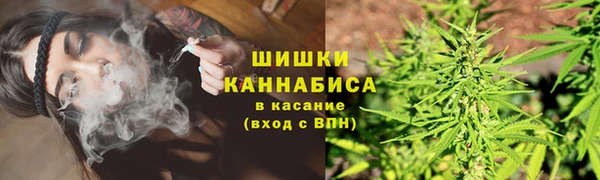 сатива Михайлов