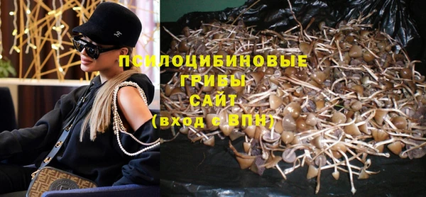 прущий лед Михайловка