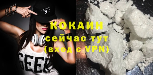мдпв Михайловск