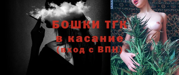 гидра Богородск