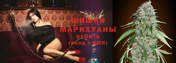 сатива Михайлов
