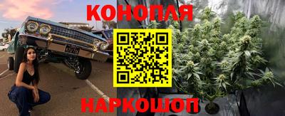 синтетический гашиш Гатчина