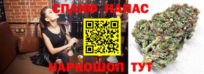 ECSTASY Волжский