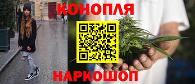 прущие грибы Гай