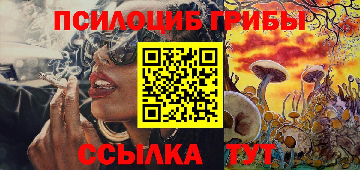 Дубна  Псилоцибиновые грибы ЛСД  Вход с VPN  Галлюциногенные грибы прущие грибы 