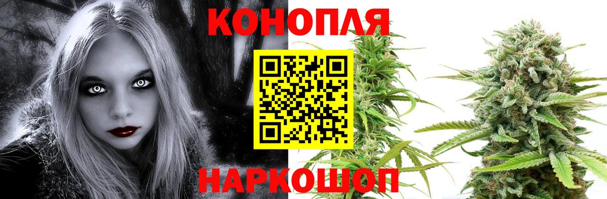 МАРИХУАНА OG Kush Дубна